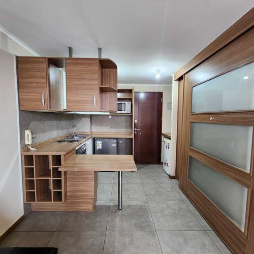 Arriendo Lindo Y Cómodo Depto En S. Centro (99589)