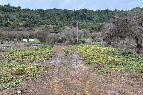  Parcela En Venta, Hacienda Zapallar, Curicó 