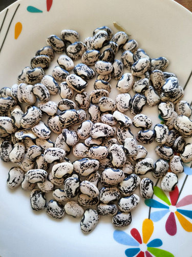 Combas Frijol Comba Semilla Artesanal De Guerrero - 500g.