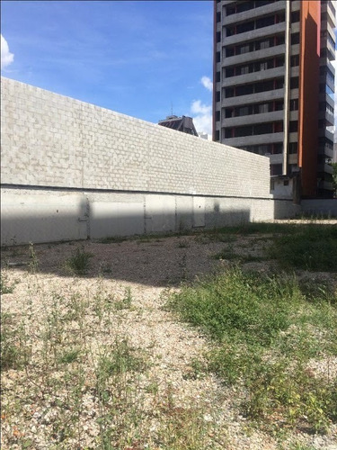 Imagem 7 de 17 de Terreno Residencial À Venda, Vila Caminho Do Mar, São Bernardo Do Campo - Te4005. - Te4005