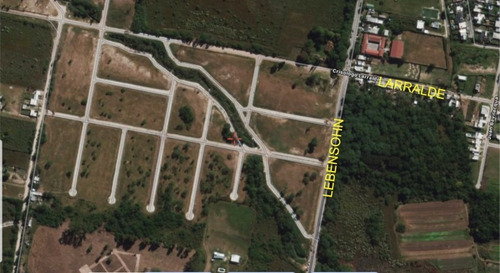 Lapachos Iii