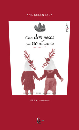 Libro Con Dos Pesos Ya No Alcanza - Ana Belen Jara - Ril Ed.