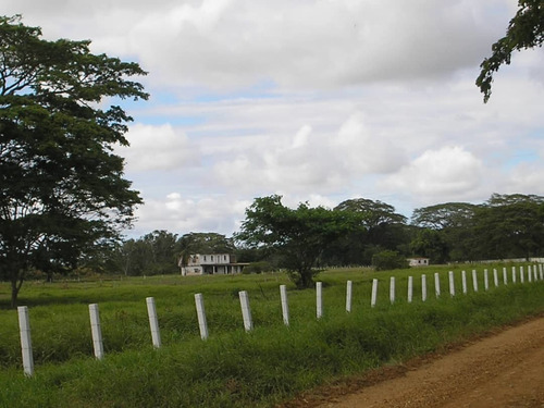 Imagen 4 de 15 de Finca En La Alegría En Yaracal Cerca De Tucacas