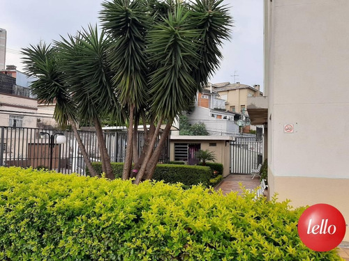 Apartamento - Ref: 218768