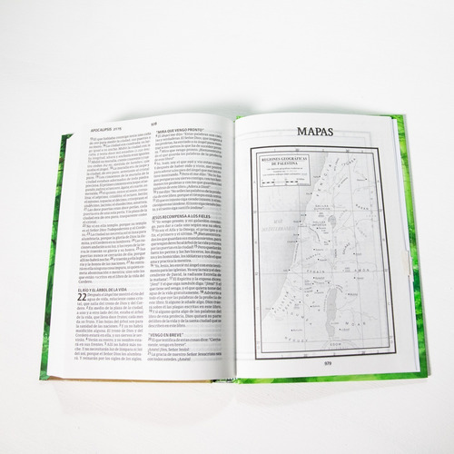 Imagen 6 de 9 de Biblia Nrv 2000 Act - Bosque