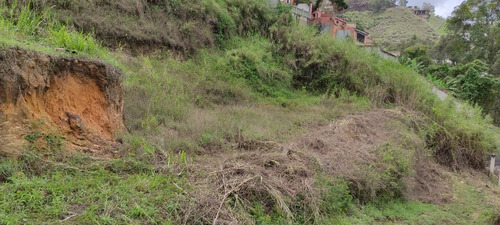Imagen 5 de 7 de Colinas De Carrizal