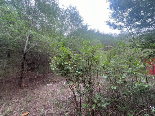 Venta De Lote Al Pie De La Montaña Con Vista Postal Al Lago San Roque Y Las Altas Cumbres En Bialet Masse (ref:1930)