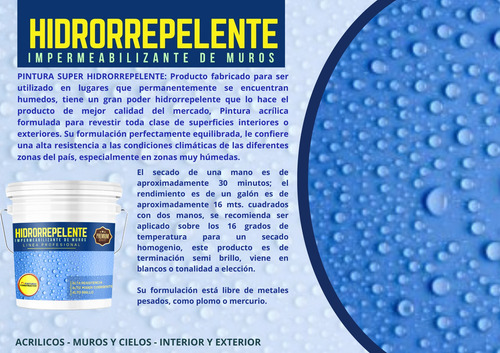 Hidrorrepelente Blanco Invierno Tineta 16lts