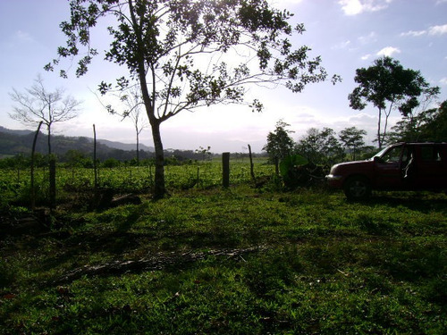Imagen 7 de 14 de Venta De Hermosa Finca