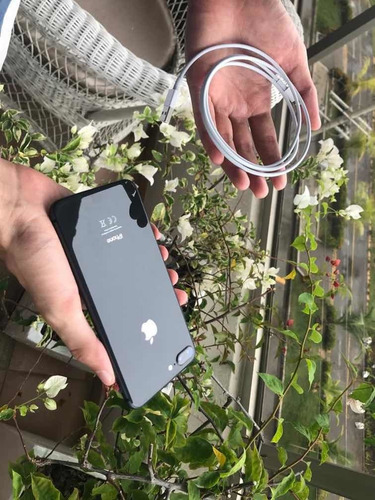 Celular iPhone 8 Plus 64gb Negro