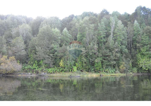Paraíso: Predio Y/o Bosque Con Dos Islas Privadas