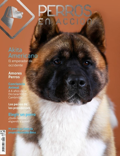 Revista N° 13 - Perros En Acción