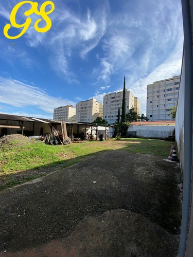 Imagem 13 de 21 de Terreno Venda Oportunidade Jardim Chapadão Campinas - Te00248 - 32165421