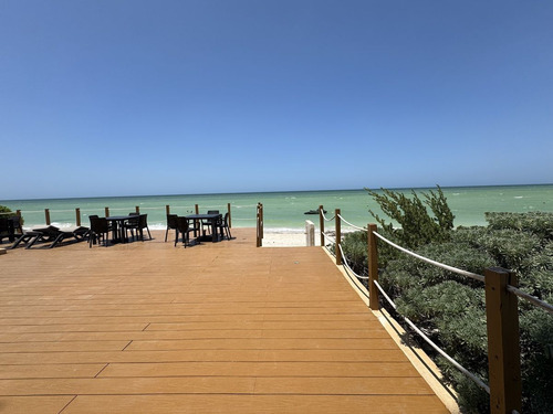 Departamento En Renta Frente A Playa En San Benito, Yucatán