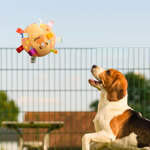 Juguete De Pelota Para Perros Entrenamiento De Perros