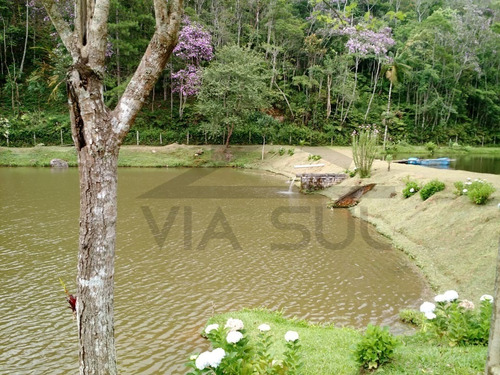 Imagem 2 de 30 de Sítio À Venda Em Juquitiba, Com Estrutura Reversível Para Pesqueiro. - 106 - 34341139