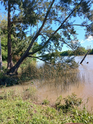 Lote Con Frente Al Rio