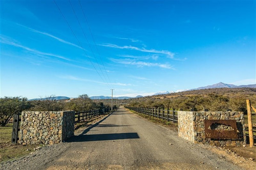 Imagen 9 de 28 de Agrícola En Venta En Zapallar