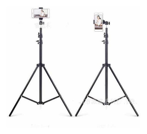 Tripode Fotografica Iluminacion Camara Plegable 2mts Celular
