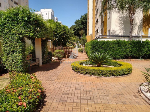 Imagem 22 de 26 de Apartamento À Venda Em Mansões Santo Antônio - Ap005873