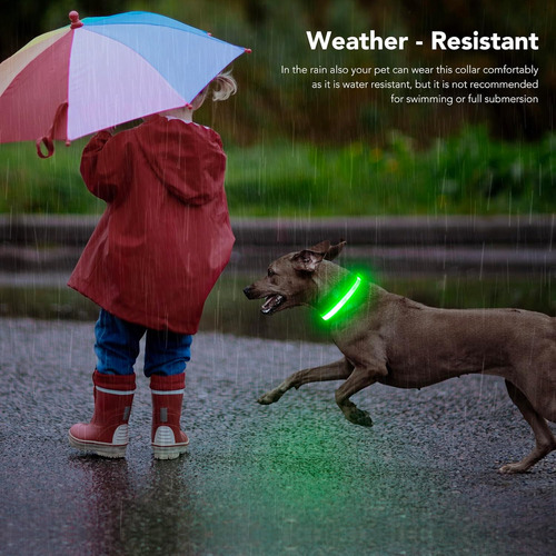 Collares De Perro Con Luz Led, Recargable Con Micro Usb, Imp