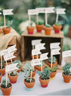 Plantas Mini Suculentas Recuerdos De Matrimonios, Bautizos