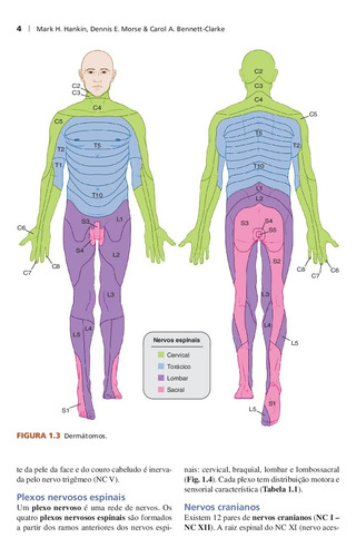 Anatomia Clínica: Uma Abordagem por Estudos de Casos, de Hankin, Mark H.. Editorial AMGH EDITORA LTDA.,McGraw-Hill Companies, Inc., capa mole em português, 2014