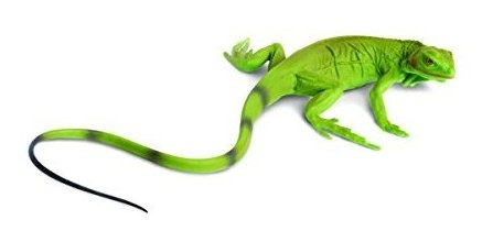 Safari Ltd Increíbles Criaturas Iguana Bebé