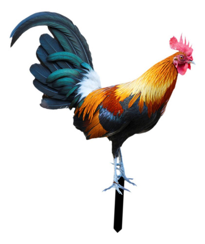 Wf/ Estaca Jardín Gallo, Adorno Pollo, 21,5 Cm X 25 Cm