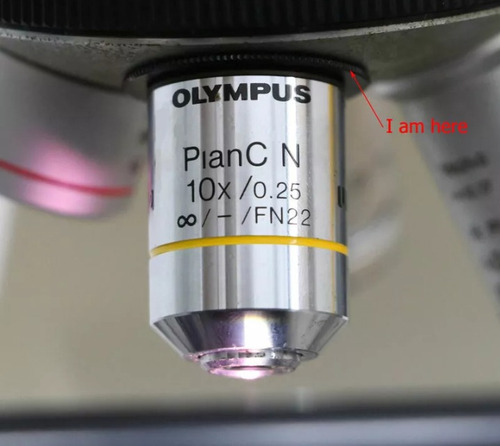 Anillo Adaptador- Objetivo Olympus Para Microscopío Leica