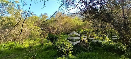 Agrícola En Venta En Olmué