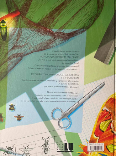 Imagen 4 de 6 de 100% Insectos A Tamaño Real / Isabella Grott