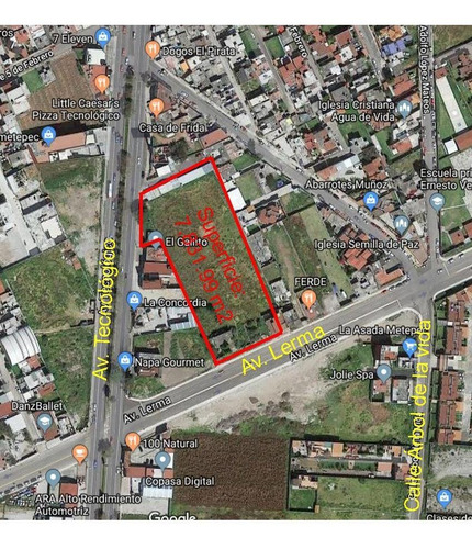 Imagen 1 de 4 de Terreno - Bellavista
