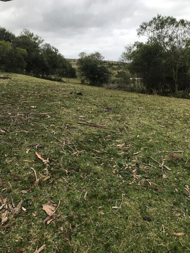 Imagen 2 de 9 de Buen Campo