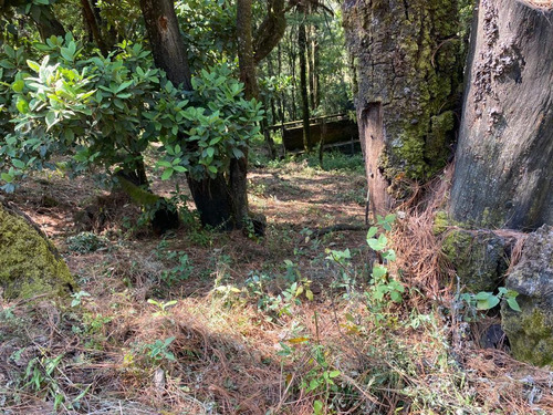 Terreno Plano En Fraccionamiento Monte Rubí