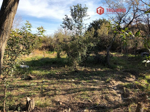Imagen 2 de 9 de Terreno - Avenida Del Sol . Merlo - San Luis- Centrico