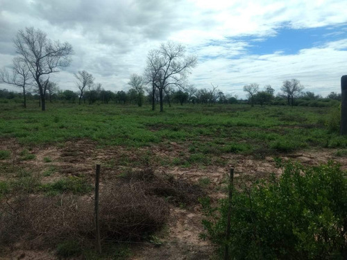 Imagen 1 de 18 de Venta Campo En Santiago Del Estero, Norte De Monte Quemado