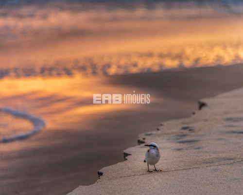Imagem 29 de 29 de Pé Na Areia - Marfelix - 33274870