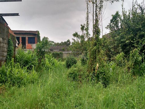 Imagem 1 de 1 de Terreno - Venda - Jequitiba - Itanhaem - Ita3046