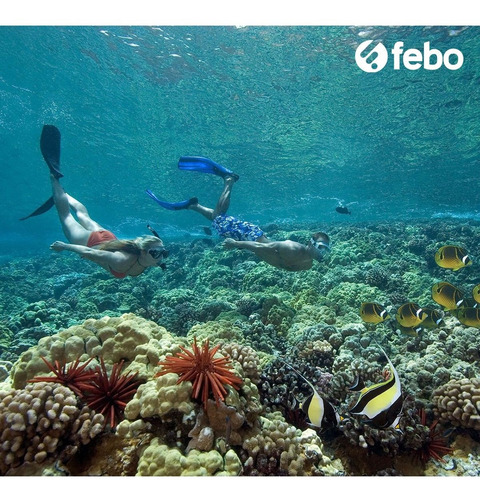 Imagen 4 de 5 de Set Completo De Buceo Snorkel Vaya2 National Geographic Febo