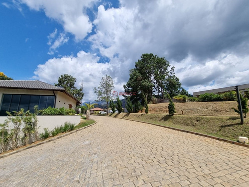 Imagem 12 de 12 de Terreno Com 600 M² No Parque Do Imbuí - Teresópolis/rj. - Te00466 - 70716171