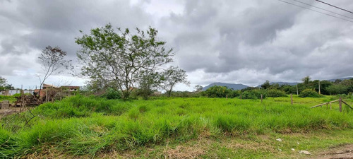 Imagem 3 de 3 de Terreno Em Itariri Medindo 400m², Em Itanhaém/sp