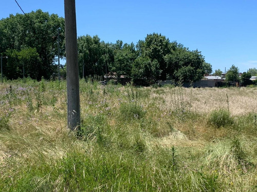 Imagen 5 de 12 de Terreno En Venta En Los Hornos | 80 Bis E/141y142 (lote 16)