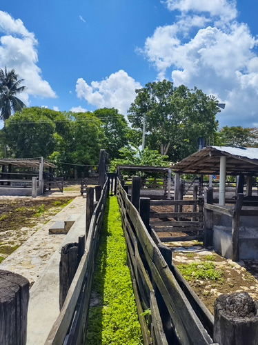 Venta De Rancho En Zona Ganadera De Yucatán, Con Cenotes, 453 Has