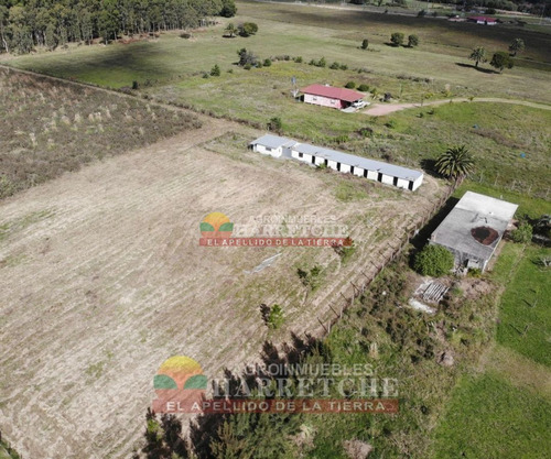 Imagen 8 de 30 de Chacra 4 Has Cno Calpino En Montevideo Rural