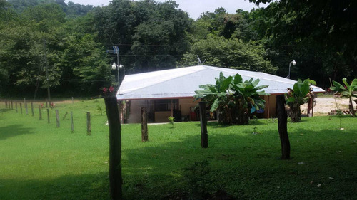 Imagen 2 de 11 de Terrena De 1 Hectárea Con Casa