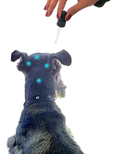 Imagen 5 de 7 de Señor Dog® Nivel 3 Interiores Marcaje Por Ansiedad. ¡ahí No! Repelente De Perros