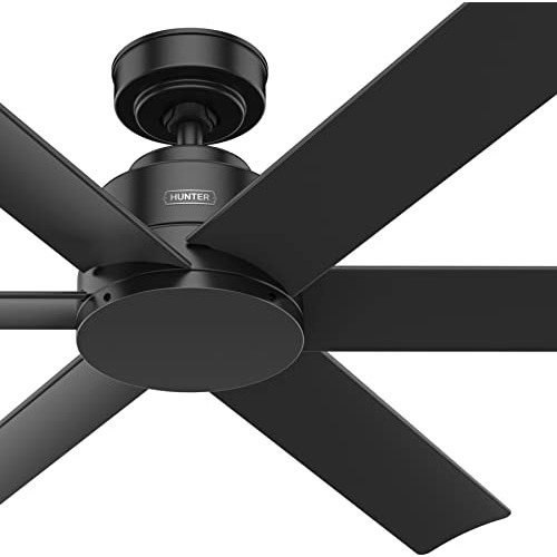 Hunter Fan Ventilador De Techo Informal Para Exteriores, Col (Reacondicionado)