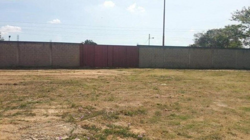 Imagen 4 de 14 de Terreno En Venta En Tocuyito