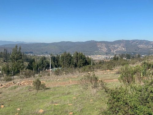 Terreno Para Tu Proyecto (103786)
